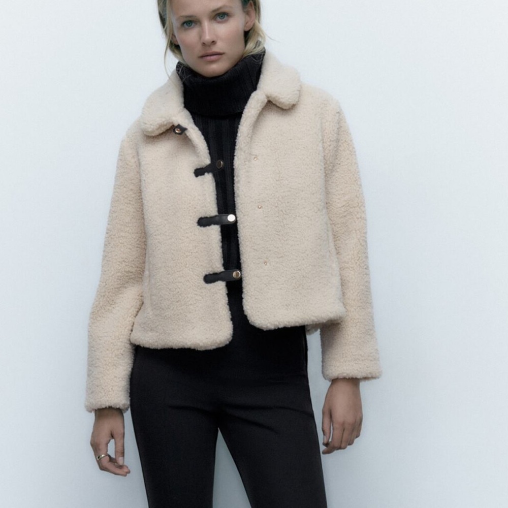 Adorable Zara Coat